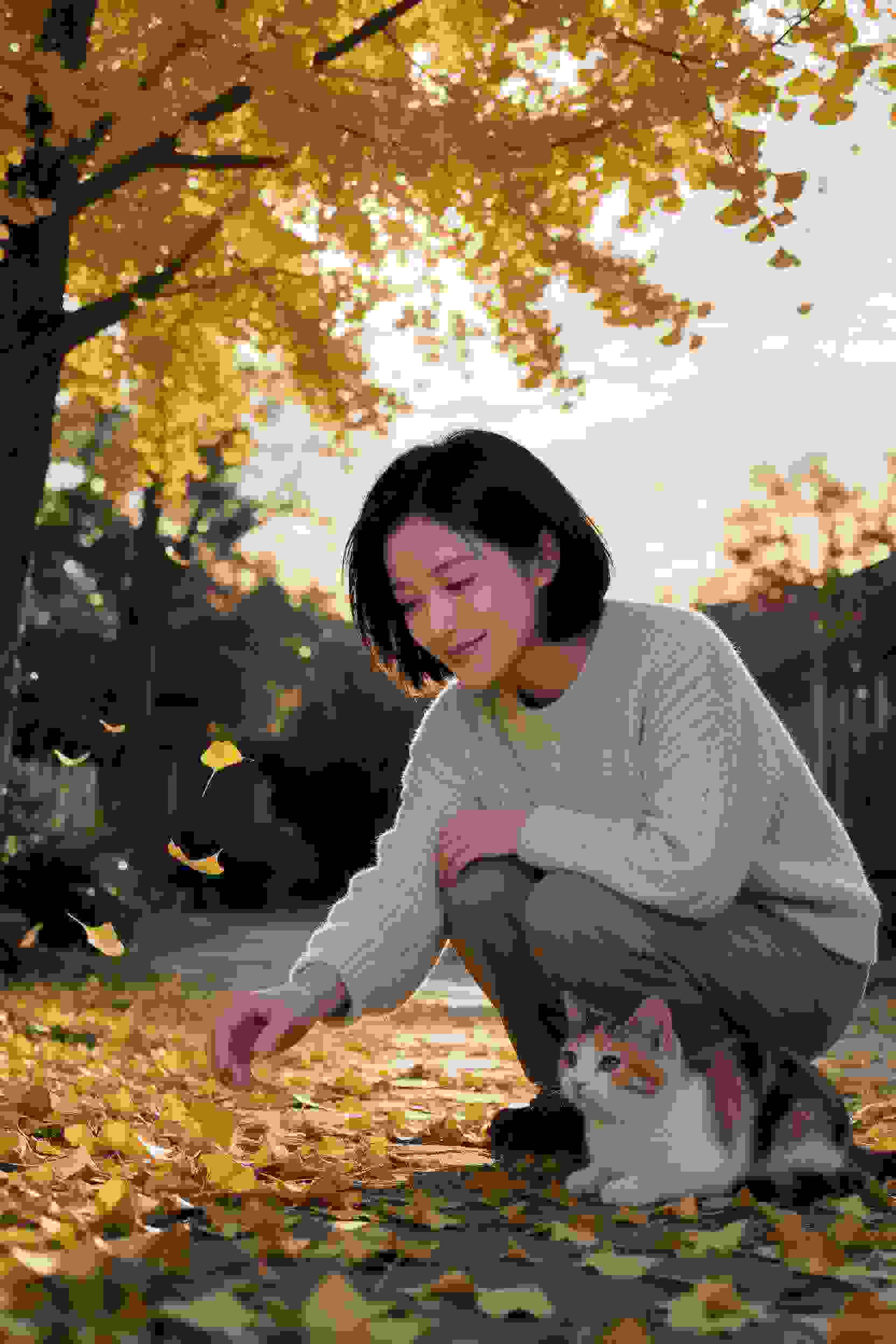 云端物语